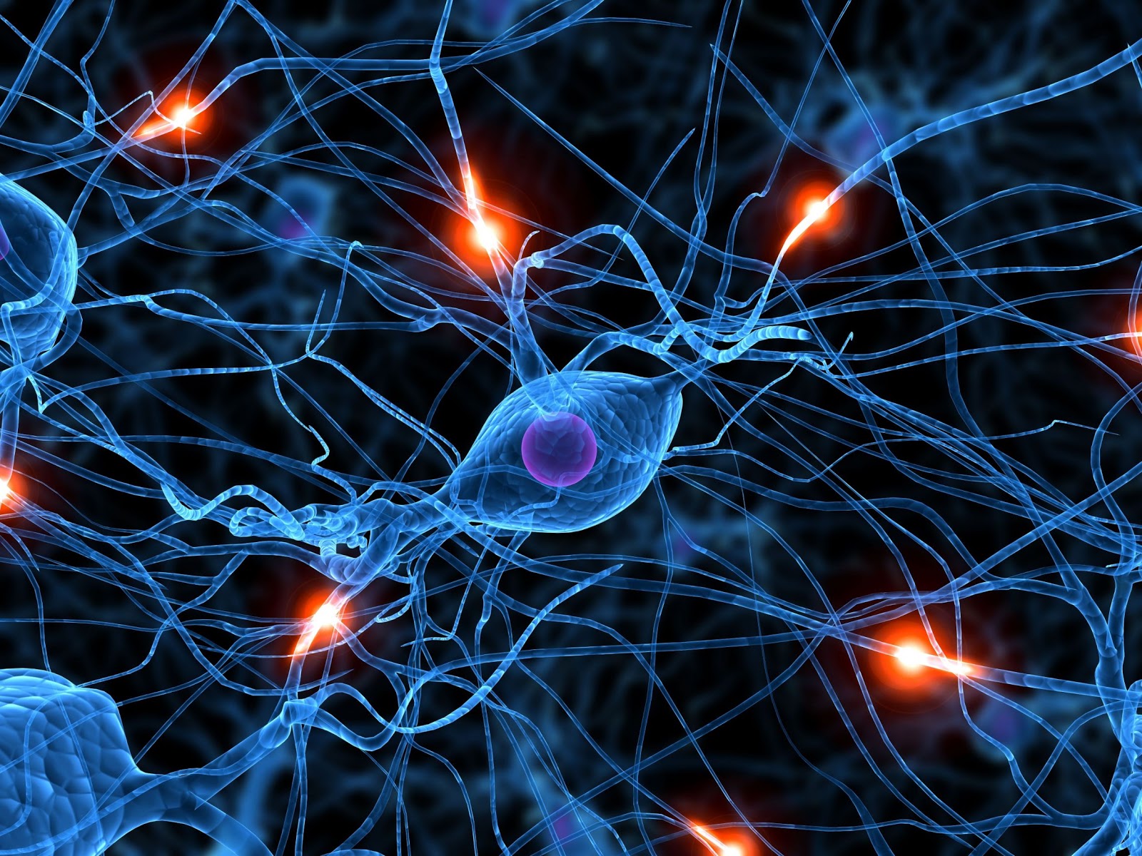 Neuronas-en-acción